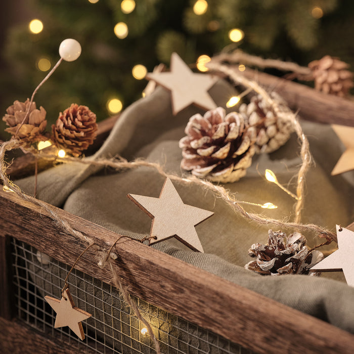 2m Minimal Star and Pinecone Micro LED Garland
