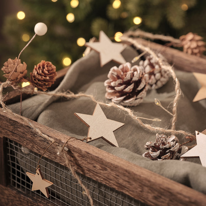 2m Minimal Star and Pinecone Micro LED Garland