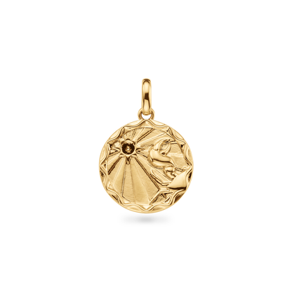 Custom Zodiac Coin Necklace (Gold)