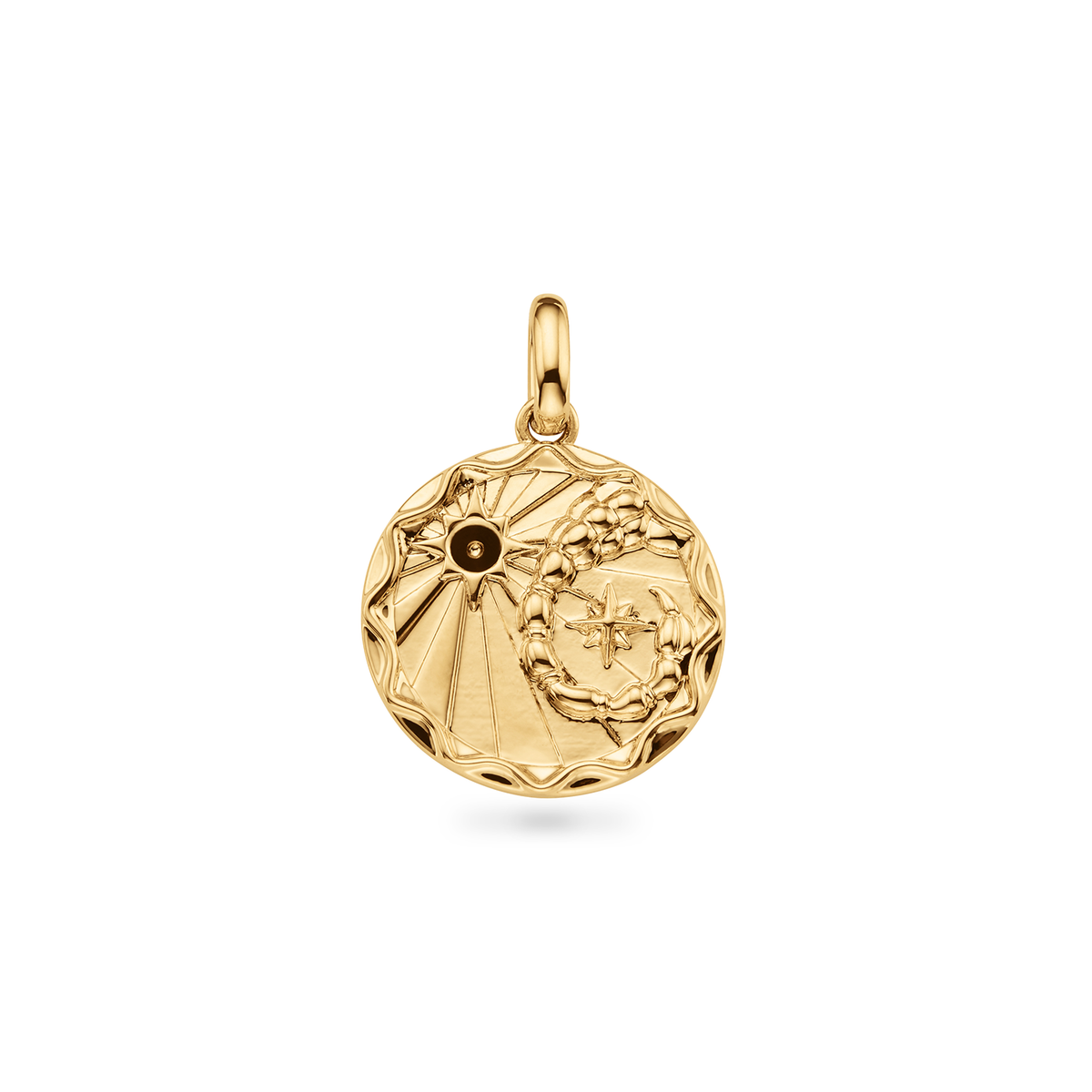 Custom Zodiac Coin Necklace (Gold)