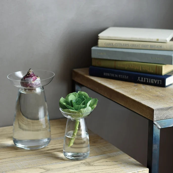 A clear glass Aqua Culture Hydroponic Vase with water and a bulb, placed on a wooden surface with books in the background.