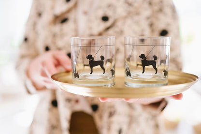 Canine Rocks Glass