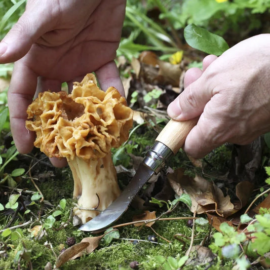 No.8 Mushroom Knife