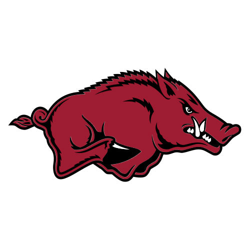 Officially Licensed College Logo Grill Covers (Alabama Birmingham thru Arkansas)
