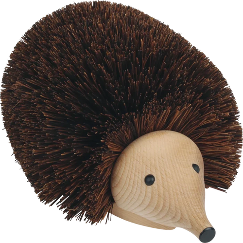 Shoe Cleaning Hedgehog
