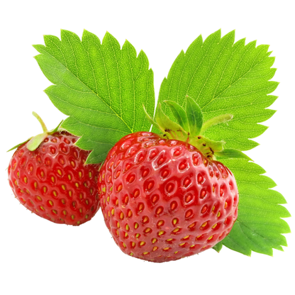 Strawberry Grow Kit | Wooden Planter Box | Fruit Gardening